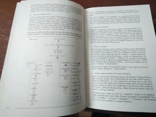 Toro bravo, hierros y encastes, el