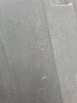 PLASTICO IVECO DAILY FURGÓN (13)