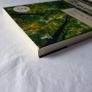 Vida contemplativa: Elogio de la inactividad (S...