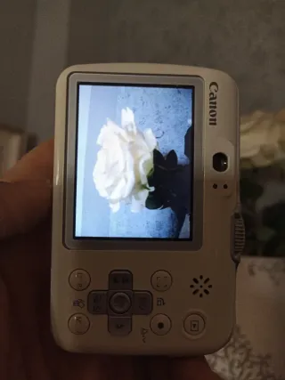 Cámara Canon E1 Digital Compacta