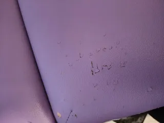 Camilla masaje con todos sus accesorios