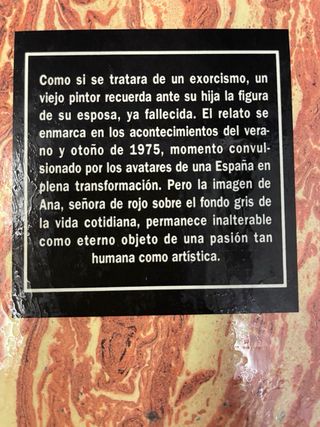 Señora de rojo sobre fondo gris