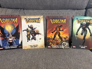 Lobezna 1. Cuatro Hermanas