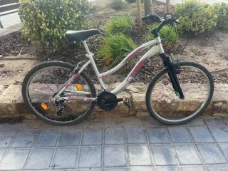 Bicicleta de montaña 26 Plata
