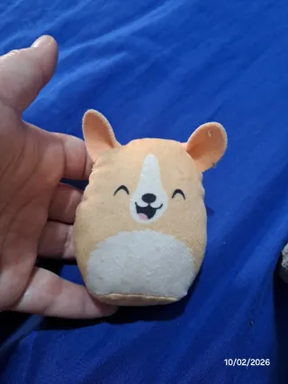 Peluche Corgi Squishmallow