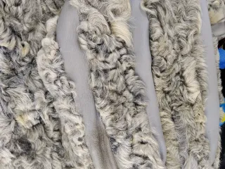 Chaquetón gris de cuero y astracán