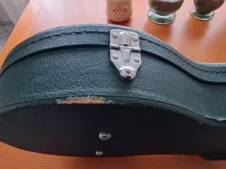 Estuche de guitarra tipo Les Paul