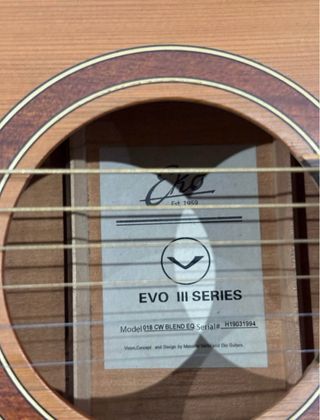 Guitarra Eko EVO III 018 CW Blend EQ