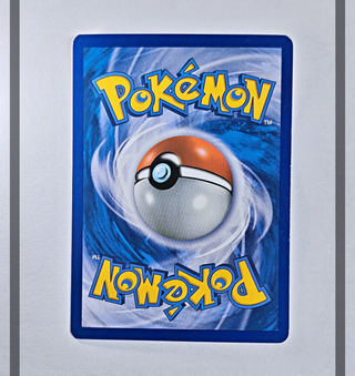 Furfrou 12/12 MCD14 Pokemon ENG-NM