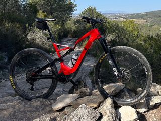 Bicicleta Eléctrica Turbo Levo Expert 29