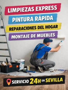 SERVICIOS EXPRESS PARA PISOS Y LOCALES