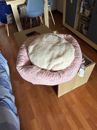 Cama para gato con estampado de gatitos