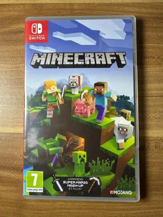 Minecraft Nintendo Switch