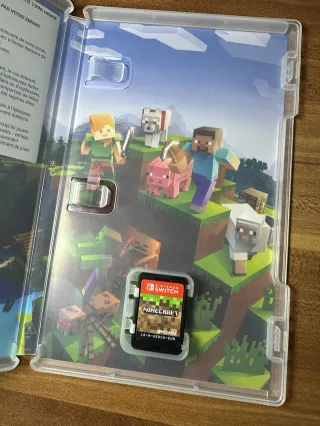 Minecraft Nintendo Switch