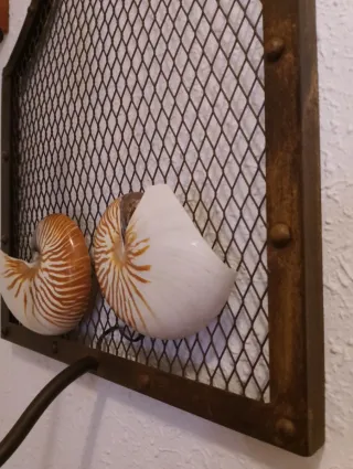 Aplique Forja Pared Nautilus