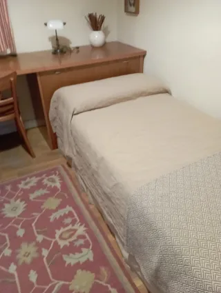 Estanterías, mesa y bicama