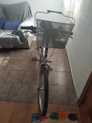 Bicicleta Infantil B'Twin Poply 300 24