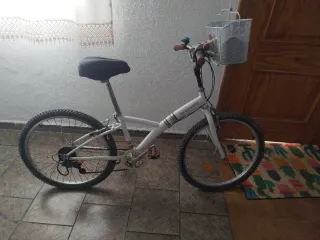 Bicicleta Infantil B'Twin Poply 300 24