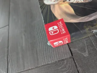 The House in Fata Morgana colector Nintendo Switch