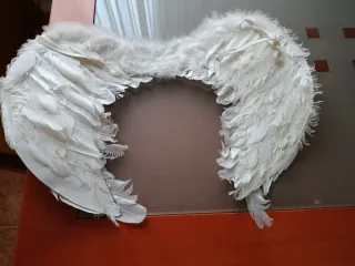 Alas de ángel y diadema