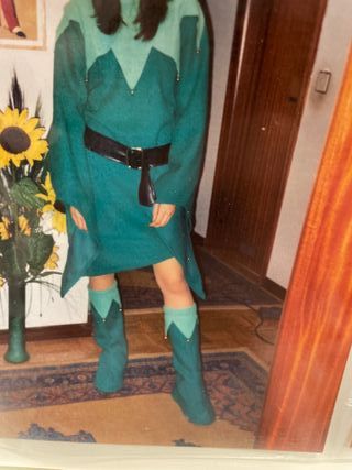 Disfraz duende/bufón verde