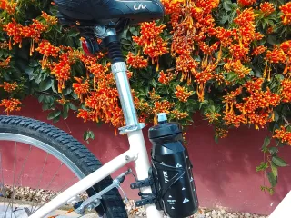 Bicicleta Giant Liv Sedona Paseo Ciudad