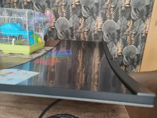 Monitor Curvo BenQ MOBIUZ EX3415R 34 UWQHD