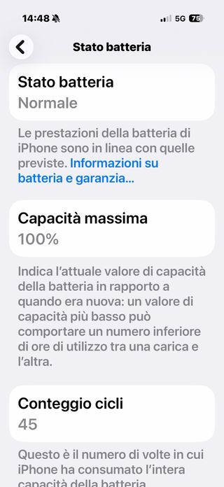 iPhone 17 - Batteria 100% - 45 cicli Nuovo