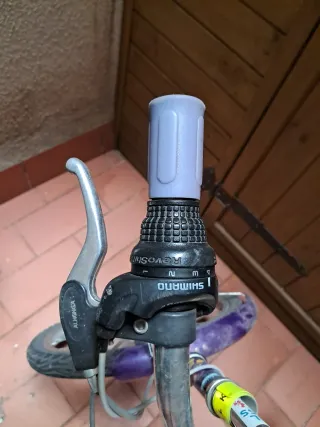 Bicicleta Niña Morada