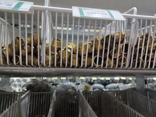 Pieza de bronce para cobre