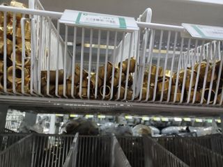 Pieza de bronce para cobre