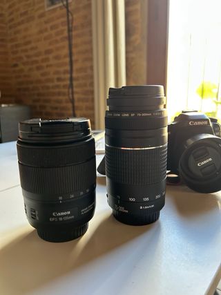 Oferta: Canon EOS 80D Cámara Réflex Digital