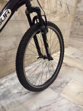 Bicicleta de montaña INDUR 265D