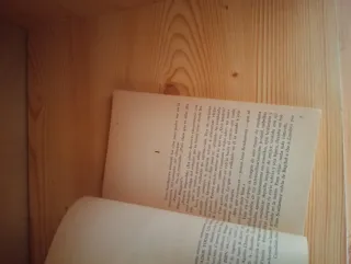 Lejos de tí esta primavera