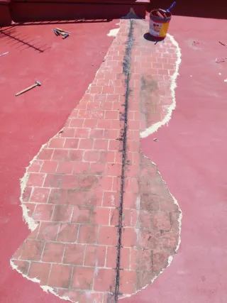 Servicios de pintura profesional