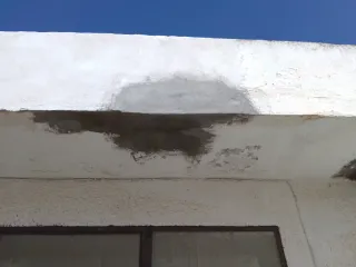 Servicios de pintura profesional