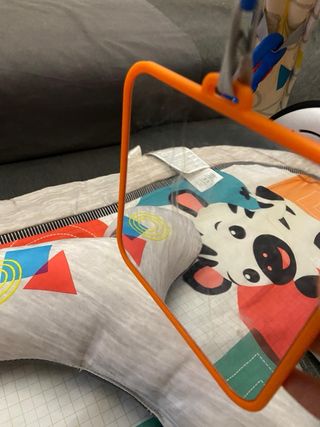 Gimnasio actividades Baby Einstein