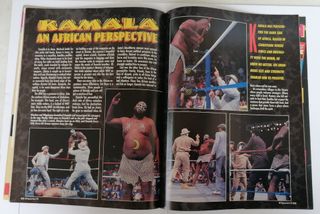 WWF WWE Magazine wrestling vintage marzo 1993