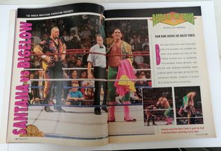 WWF WWE Magazine wrestling vintage marzo 1993