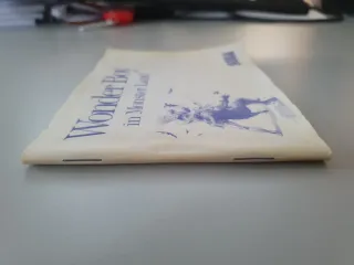 Wonder Boy in Monster Land Master System