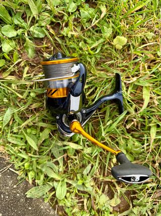 Carrete DAIWA Revros LT 3000 CXH