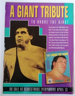 WWF WWE Magazine wrestling vintage maggio 1993