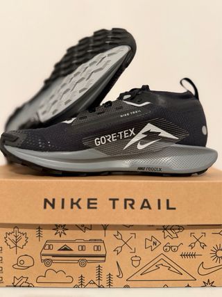 Nike Pegasus Trail 5 GORE-TEX