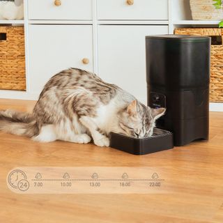 Distributore automatico di cibo Cecotec per animali domestici