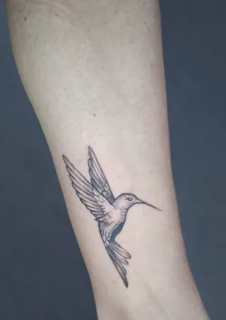 Voluntarios Tatuajes (Solo Material)