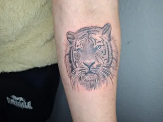 Voluntarios Tatuajes (Solo Material)