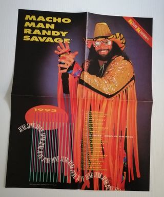 WWF WWE Magazine wrestling vintage giugno 1993