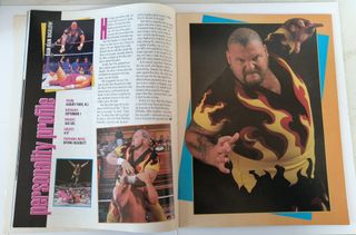 WWF WWE Magazine wrestling vintage giugno 1993