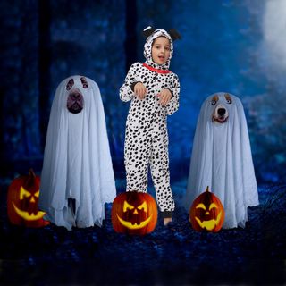 Sincere Party Disfraz unisex de animal de forro po