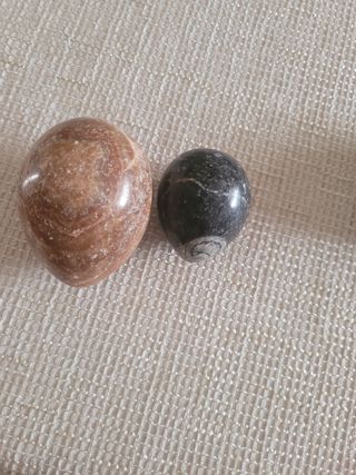 Cuatros huevos, 1 de ellos fosilizado